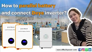 How to connect two batteries in parallel and communicate with deye inverter？ [upl. by Matt]