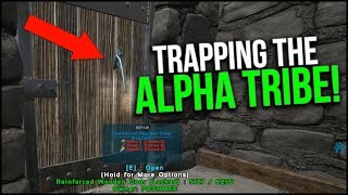 TRAPPING THE ALPHA TRIBE  ARK Official PvP Ragnarok  Ep11 [upl. by Nedrud]