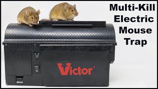 The Victor MultiKill Electric Mousetrap  Full Review Mousetrap Monday [upl. by Borries]