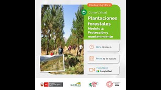 Curso Plantaciones forestales Módulo 4 Protección y mantenimiento – 29102024 [upl. by Dreeda938]