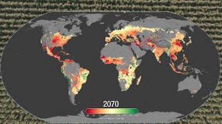 Climate Change Could Affect Global Agriculture Within 10 Years [upl. by Kalinda]