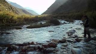 pesca con mosca en el arroyo grande del manzano [upl. by Lissa]