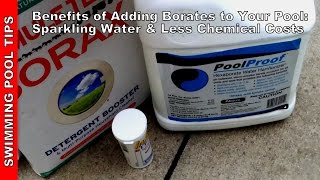 Benefits of Adding Borate to your Pool Sparkling Water amp Less Chemical Costs [upl. by Gies]