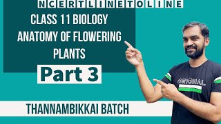 Anatomy of Flowering Plants class 11 part 2  NEET Boosters  NCERT Line to Line [upl. by Sky]