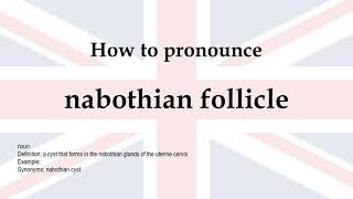 How to pronounce nabothian follicle  meaning [upl. by Ybanrab]