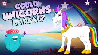 Are Unicorns Real  One Horn Horse Mystery  Did Unicorns Ever Exist  The Dr Binocs Show [upl. by Luo]