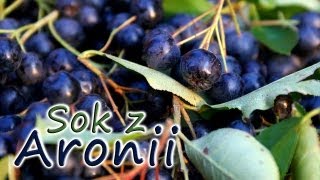 Sok z Aronii z liśćmi wiśni  smaczneprzepisypl [upl. by Hcurob]