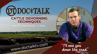 DocTalk Ep 86  Cattle Dehorning Techniques [upl. by Rehpinnej337]