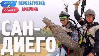 СанДиего Орёл и Решка Перезагрузка АМЕРИКА English subtitles [upl. by Zachary]