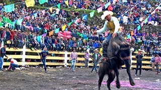 HERMOSO MICHOACAN  RANCHO LA HERRADURA Jugadon La Que Nos Regalo COCUCHO MICHOACAN 2018 [upl. by Tildi380]