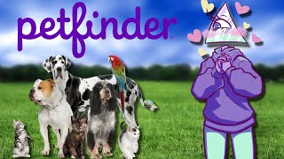 Reviewing Petfinder Names [upl. by Adnauqaj]