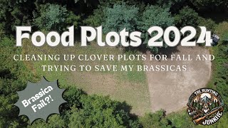 Food Plot Chores August 2024 [upl. by Klute]