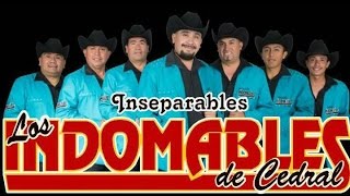 LOS INDOMABLES DE CEDRAL MIX [upl. by Esimaj]