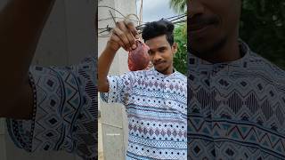 mutton tilli fry నేరడా ఫ్రై shorts [upl. by Nlocnil]