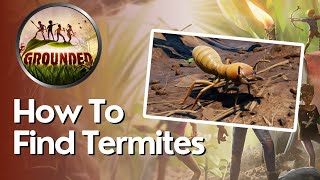 How to Find Termites in Grounded [upl. by Adalard]