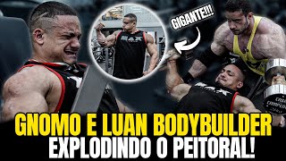 TREINO DE PEITO E TRICEPS COM LUAN BODYBUILDER [upl. by Ahsilef757]