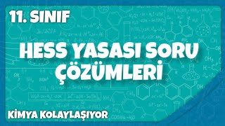 HESS YASASI SORU ÇÖZÜMLERİ511SINIFAYT [upl. by Odel935]