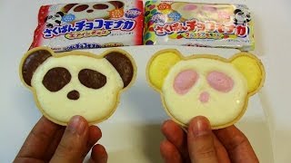 Japanese Candy amp Snacks 121 Panda Shaped Chocolate Candy [upl. by Nosloc379]