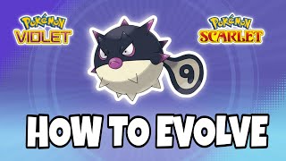 How to Evolve Hisuian Qwilfish  Pokemon Violet and Scarlet [upl. by Nooj]