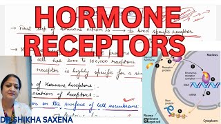 Hormone receptors Location Specificity Up regulation down regulation [upl. by Marcy]