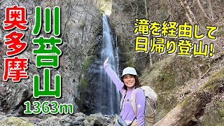 【関東日帰り登山】奥多摩の川苔山！百尋ノ滝経由で登ってみた！ [upl. by Ettevroc710]