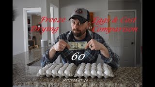 Freeze Drying 60 Eggs amp Cost Comparison vs Mountain House [upl. by Dehsar24]