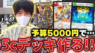 【検証】デュエマ最強の5色コンデッキは『製作費5000円で組めるのか』秋葉原で挑戦してみた‼【デュエマ開封実写動画】 [upl. by Luthanen892]