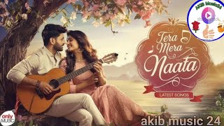 new Bollywood gaan new hindi love songs 2024new remix song 2024love story gaan [upl. by Finlay]