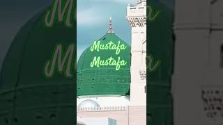 Mustafa Mustafa Naat heart touching naat best naarFatimaKashifOfficial [upl. by Irihs416]