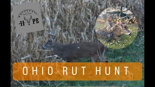 OHIO RUT HUNT 2023 [upl. by Waylen430]