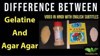 Difference between Gelatine and AgarAgar  जेलटीन और अगर अगर में अंतर  Everyday Life 48 [upl. by Kaufman]