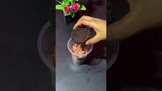 Chocolate cake recipe jar cake decoration [upl. by Cerys]