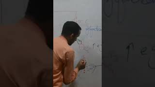 Pathophysiology for Nurses science chemistry class neet nursinglecturewithimtiaz immunesystem [upl. by Deerdre]