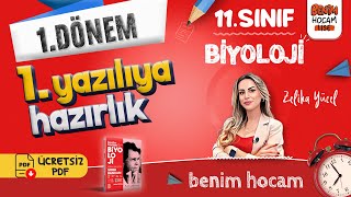 11Sınıf  Biyoloji  1Dönem  1Yazılıya Hazırlık  Zeliha YÜCEL [upl. by Bron]