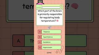 🌡️ Did You Know Your Brain Has Its Own Thermostat mededtrivia brainteasers brainfacts quiz [upl. by Dnumyar]