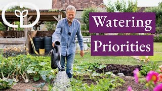 Which vegetables most benefit from water and when [upl. by Ettennahs]