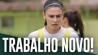 BRUNA CALDERAN quotVAMOS COLOCAR O PALMEIRAS NO LUGAR QUE ELE REALMENTE MERECEquot [upl. by Bloomer345]