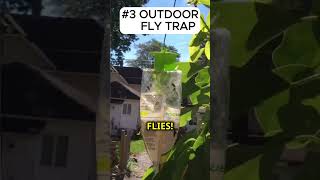 Random Amazon Pest Control Finds Part 1 shorts youtubeshorts amazon amzonfinds [upl. by Aciruam]