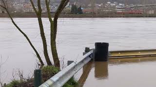 Monongahela River flood at Duck Hollow 20240404 0722 [upl. by Ayit]