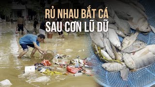 Dân Lào Cai bắt cá ngay trong sân tổ dân phố sau lũ dữ [upl. by Aynat]