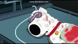 Family Guy  Season 12 Episode 3  Brians Death [upl. by Roehm]