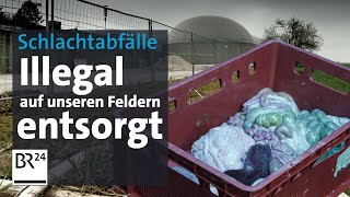 Kontrollversagen Schlachtabfälle auf bayerischen Feldern  Die Story  Kontrovers  BR24 [upl. by Orimisac]