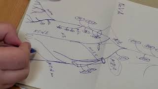 PNS 5 Long branches of sacral plexus [upl. by Cchaddie]