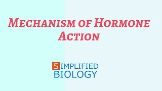 Mechanism of Hormone Action for NEET AIIMS AIPMT MCAT PREMED JIPMER [upl. by Fitts]