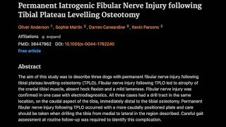 Permanent Iatrogenic Fibular Nerve Injury following Tibial Plateau Levelling Osteotomy [upl. by Ryter298]