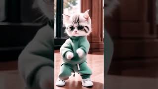 Beautiful cat dance cat dance 🕺 💃 trending shortvideo shorts music [upl. by Eilujna]