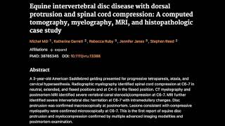 14 Equine intervertebral disc disease with dorsal protrusion and spinal cord compression [upl. by Annaiviv]