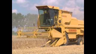 wwwtrekkertrekkernl  Tarwe Dorsen met de New Holland Clayson 8060 [upl. by Hernandez]