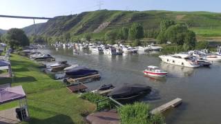 Die Campinginsel in Winningen an der Mosel [upl. by Humphrey]