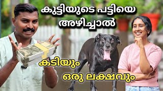 പട്ടി കടിച്ചാൽ ഒരു ലക്ഷം പോകും Dog challenge leash talks [upl. by Lleral579]